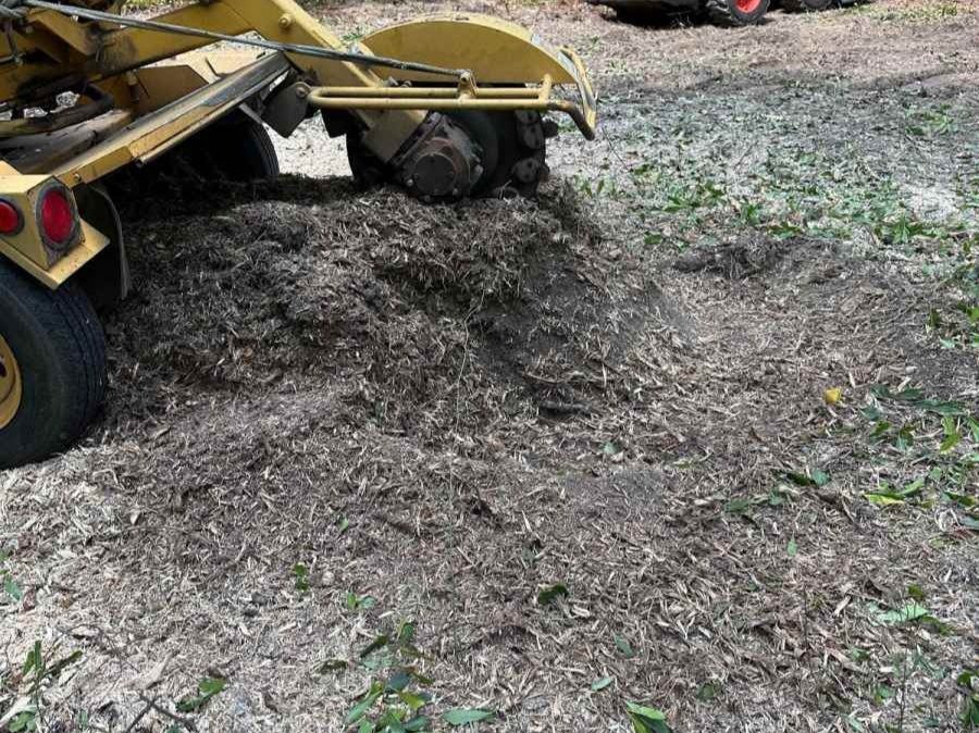 El Costeño Tree Service LLC